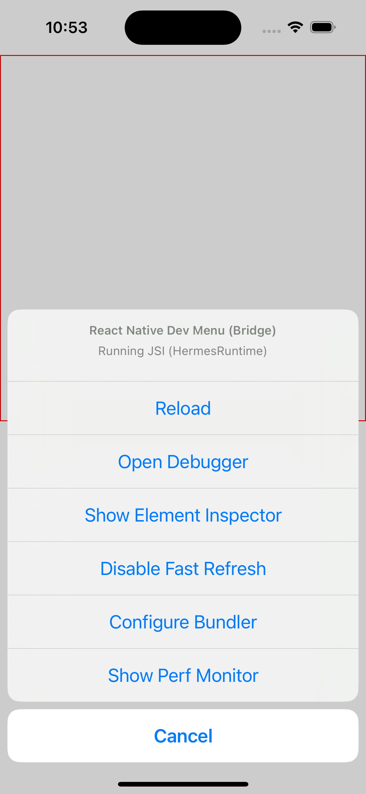 React Native Developer menu